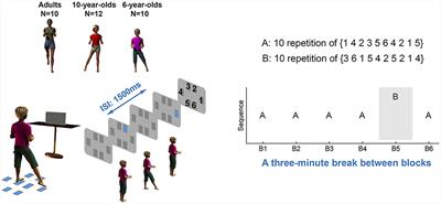 Children and Adults Both Learn Motor Sequences Quickly, But Do So Differently